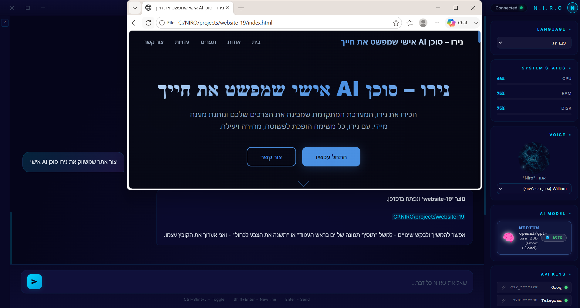 NIRO מייצר אתר